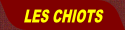 wp278ca153.png