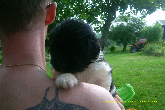 wp70d42e83.png