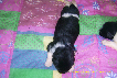 wp8b49875b.png