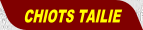 wpb094ce2e.png