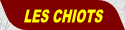 wpcbc5a66d.png