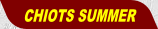 wpe95a6033.png